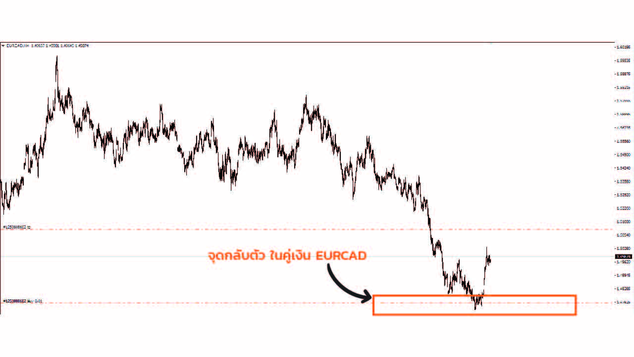 หาจุดกลับตัว Forex