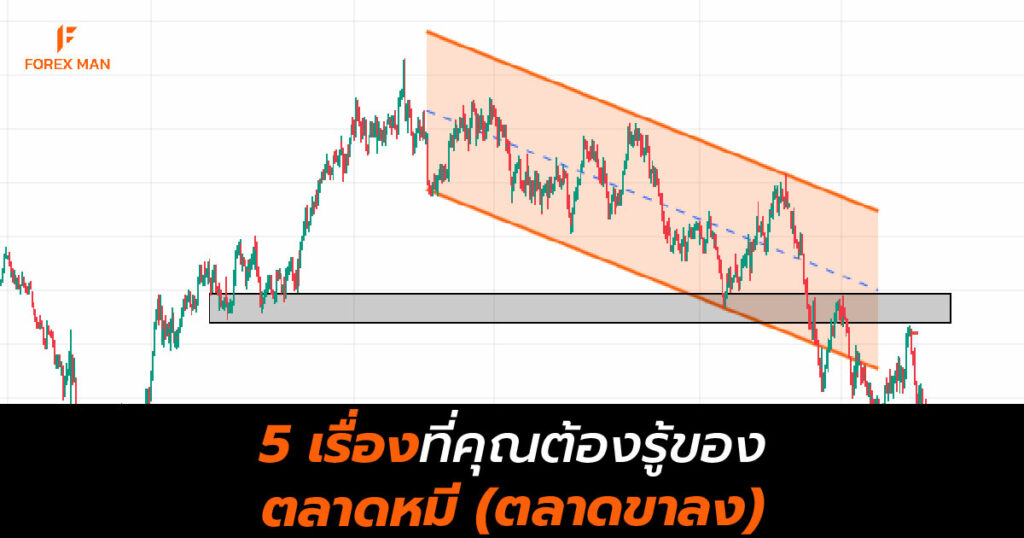 5 เรื่องที่คุณต้องรู้ของตลาดหมี (ตลาดขาลง)