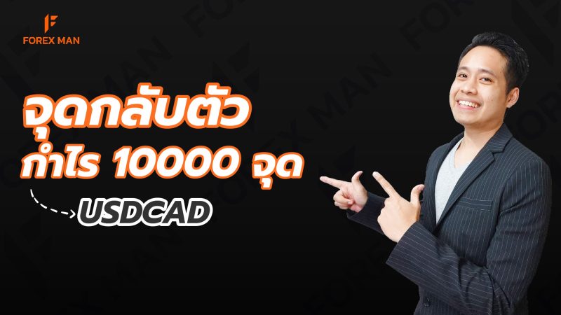 เทคนิคได้จุดกลับตัวรันเทรนด์กำไร 10000 จุดกับคู่เงิน USDCAD