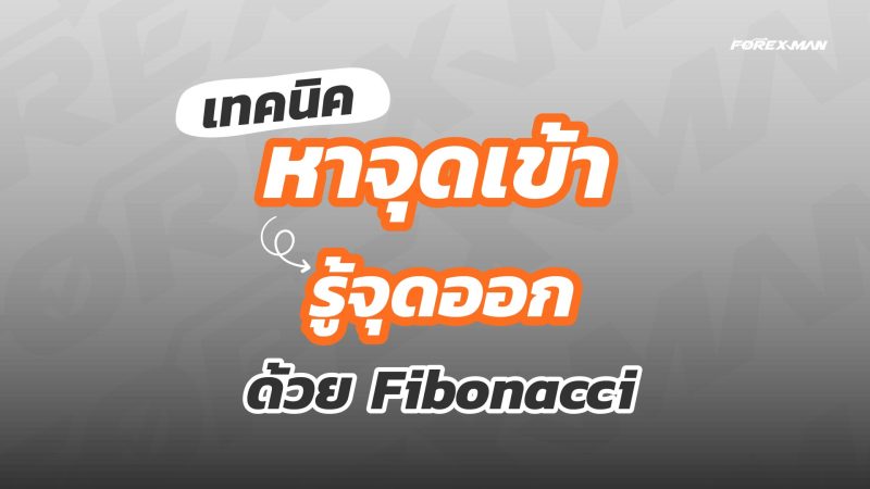 เทคนิคหาจุดเข้า จุดออก Forex เพื่อทำกำไร ด้วย Fibonacci