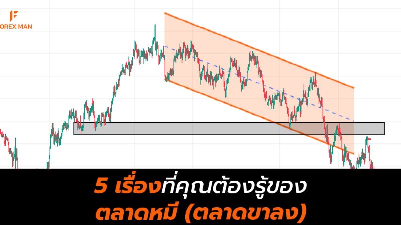 5 เรื่องที่คุณต้องรู้ของตลาดหมี (ตลาดขาลง)