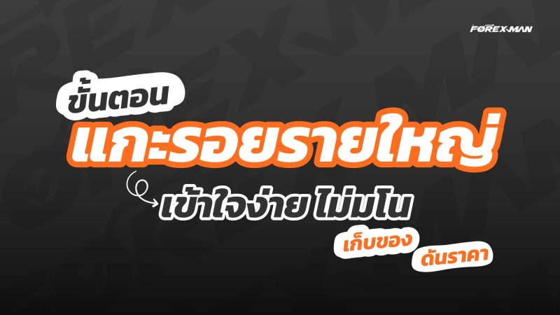 เทรด Forex ให้มีกำไรด้วย ขั้นตอนแกะรอยรายใหญ่